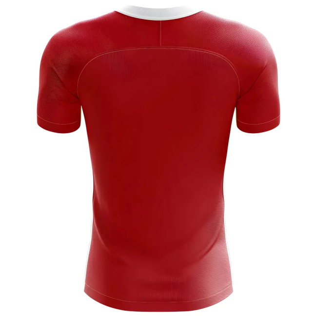 2025-2026 Denmark Flag Concept Football Shirt (M Laudrup 10)-SoccerKits Hub | Buy Soccer Jerseys Online
